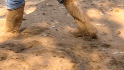 DƬ
